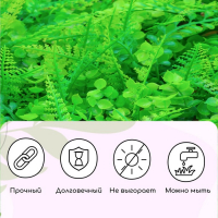 Декоративная панель, 60 × 40 см, «Самшит, Папоротник», Greengo Декоративная панель, 60 × 40 см, «Самшит, Папоротник», Greengo