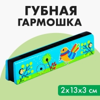 Губная гармошка &laquo;Курочка&raquo;, размер 2&times;13&times;3 см, цвет бирюзовый