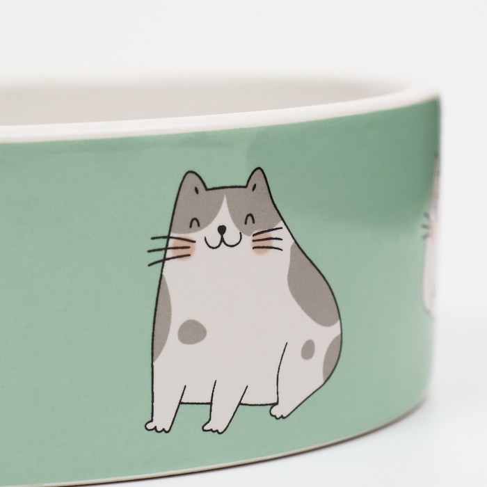 Миска керамическая "Котяры" 300 мл  12,5 x 4,5 cм, бело-зелёная