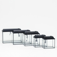 Комплект аквариумов с крышками "Матрёшка" - 5 шт, Прямоугольный Атолл, 13, 16, 29, 40, 52 л Комплект аквариумов с крышками "Матрёшка" - 5 шт, Прямоугольный Атолл, 13, 16, 29, 40, 52 л