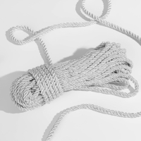 Шнур витой, d = 5 мм, 10 ± 1 м, цвет серебряный Шнур витой, d = 5 мм, 10 ± 1 м, цвет серебряный