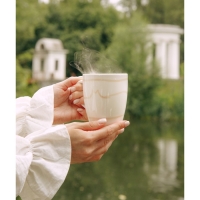 Набор кружек фарфоровых SL Home &laquo;Гато&raquo;, 350 мл, цвет белый