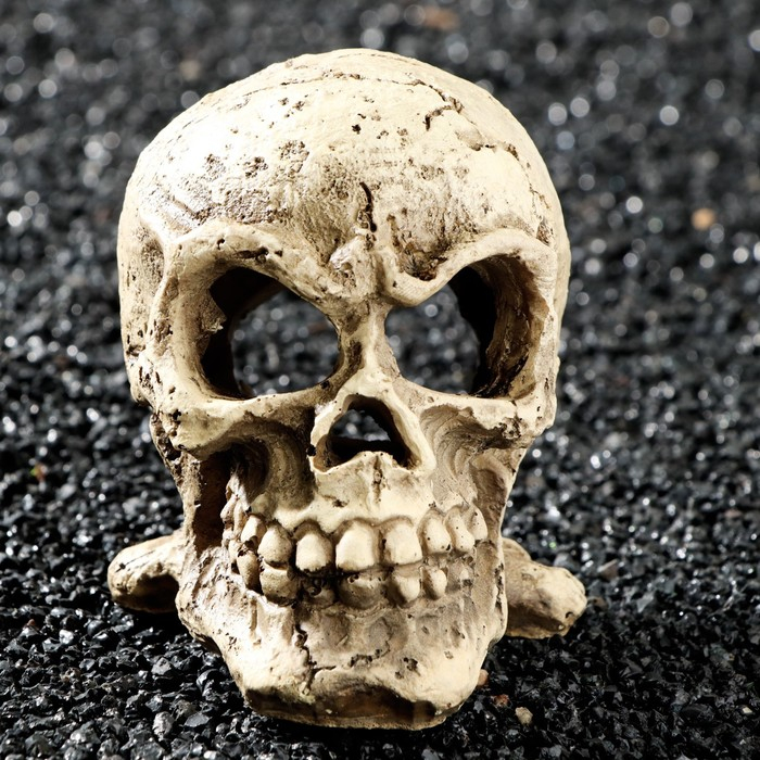 Декор для аквариума Декор для аквариума "Череп", 10 х 8 х 9 см