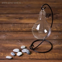 Флорариум &laquo;На подвесе&raquo;, 23 см лампочка, 15&times;9 см, d=5.5 см