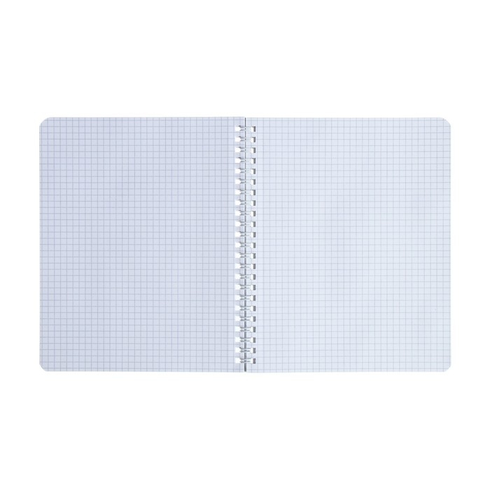 Тетрадь 48 листов в клетку на гребне Тетрадь 48 листов в клетку на гребне "Гарри Поттер", обложка мелованный картон, матовая ламинация, 3D фольга, блок офсет, 4 вида МИКС