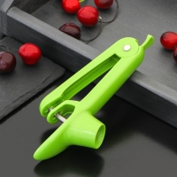 Удалитель косточки Доляна &laquo;Эдда&raquo;, 20 см, цвет зелёный