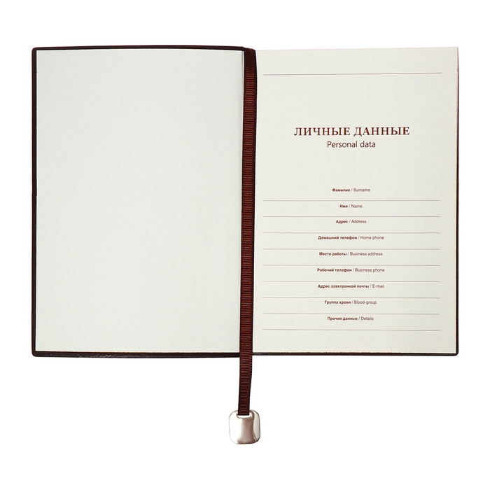 Органайзер на кольцах, B6, 116л, клетка, обл.кожзам, коричневый срез, Черный