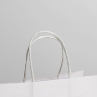 Пакет подарочный, упаковка, &laquo;Пирожочек&raquo;, 22 х 22 х 11 см