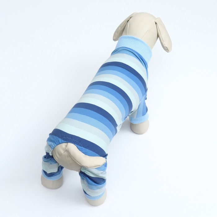 Попона послеоперационная, вискоза, размер ХL  (ОШ 31, ОГ 50, ОТ 39 см, вес 12-18 кг), голуба   96146