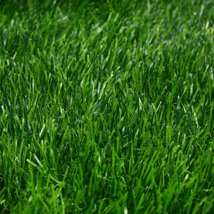 Газон искусственный, для спорта, ворс 50 мм, 1 &times; 2 м, зелёный, Greengo