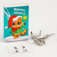 Головоломка металлическая &laquo;Развивай логику. Змейки&raquo;, в шоубоксе, МИКС