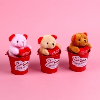 Мягкая игрушка &laquo;Самой прекрасной&raquo;, медведь, цвета МИКС