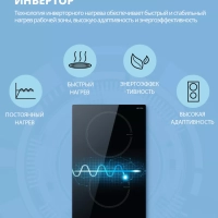 Индукционная варочная панель CIH301, 2 конфорки, инвертор