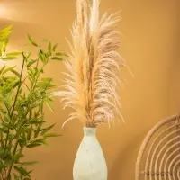 Ваза терракота &laquo;Эдесса&raquo;, 16&times;16&times;36 см, керамика