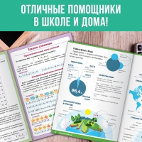 Набор &laquo;Сборники шпаргалок для начальной школы&raquo;, 4 книги, 7+