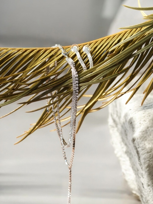 Набор 2 предмета: колье-чокер, серьги "Блеск", цвет белый в серебре