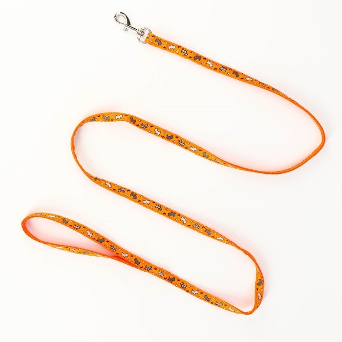 Комплект "Собачки", ширина 1 см, поводок 1,2 м, шлейка 23-35 см, оранжевый