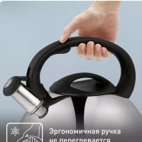 Чайник для плиты из нержавеющей стали C7922024, 3 л