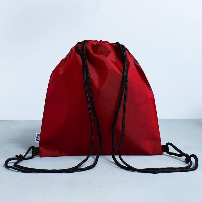 Мешок для обуви &laquo;Кеды&raquo; 2 секции, 30 х 40 см