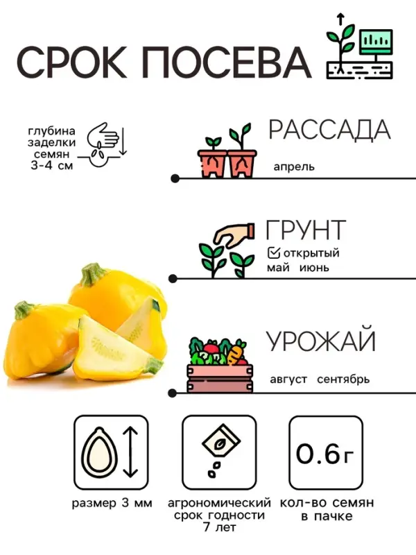 Семена Патиссон "Копейка", 0,6 г