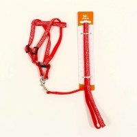 Комплект прошитый "Жираф", ширина 1 см, поводок 120 см, шлейка 23-35 см, красный Комплект прошитый "Жираф", ширина 1 см, поводок 120 см, шлейка 23-35 см, красный