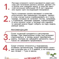 Семена Салат кочанный "Всесезонка", 0,5 г