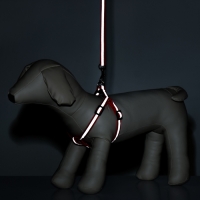 Комплект со светоотражающей лентой, ошейник 120 х 1 см, ОГ 26-40 см, красный