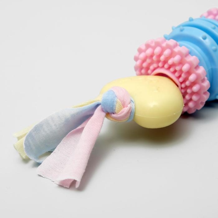 Игрушка жевательная для собак Пижон Premium на верёвке, 5 элементов, термопластичная резина, микс Игрушка жевательная для собак Пижон Premium на верёвке, 5 элементов, термопластичная резина, микс