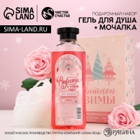 Подарочный набор ЧИСТОЕ СЧАСТЬЕ &laquo;Уютной зимы&raquo;: гель для душа 300 мл и мочалка для тела, Новый Год