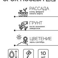 Семена цветов Катарантус Пацифика "Дип Орхид" 10 шт