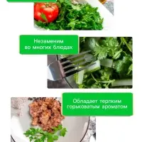 Семена Кориандр "Янтарь", 5 г