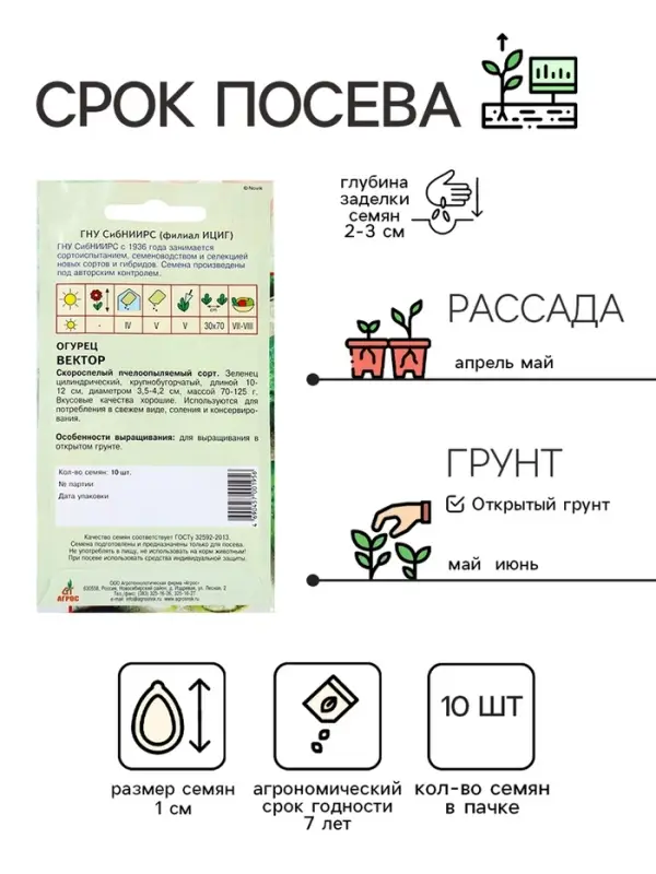 Семена Огурец"Вектор"10шт* КС