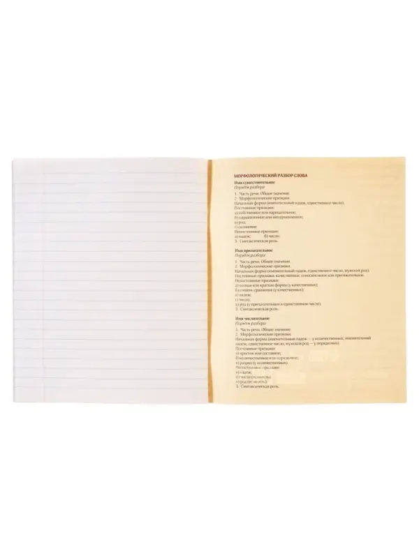 Тетрадь предметная 48 листов в клетку Calligrata, &laquo;СуперНеон. Русский язык&raquo;, обложка мелованный картон