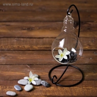Флорариум &laquo;На подвесе&raquo;, 23 см лампочка, 15&times;9 см, d=5.5 см
