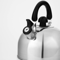 Чайник со свистком из нержавеющей стали Доляна &laquo;Чёрная ночь&raquo;, 3 л, фиксированная ручка, цвет хромированный