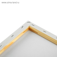 Холст на подрамнике, хлопок 100%, 40 х 40 х 1.8 см, акриловый грунт, мелкозернистый, 280 г/м&sup2;