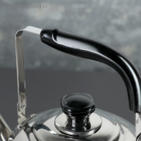 Чайник из нержавеющей стали &laquo;Чайковский&raquo;, 3 л, цвет хромированный