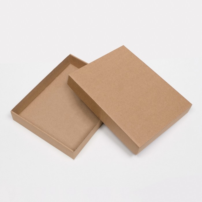 Коробка сборная без печати крышка-дно бурая без окна 26 х 21,5 х 4 см Коробка сборная без печати крышка-дно бурая без окна 26 х 21,5 х 4 см