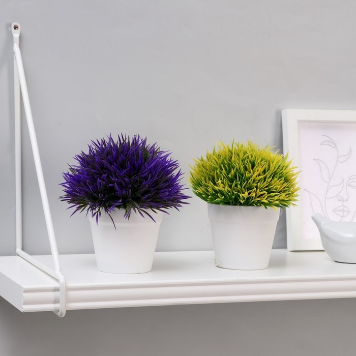 Бонсай Бонсай "Цветная травка" 12 см, микс