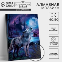 Алмазная мозаика с полным заполнением на подрамнике &laquo;Волк в лесу&raquo;, 40 х 50 см