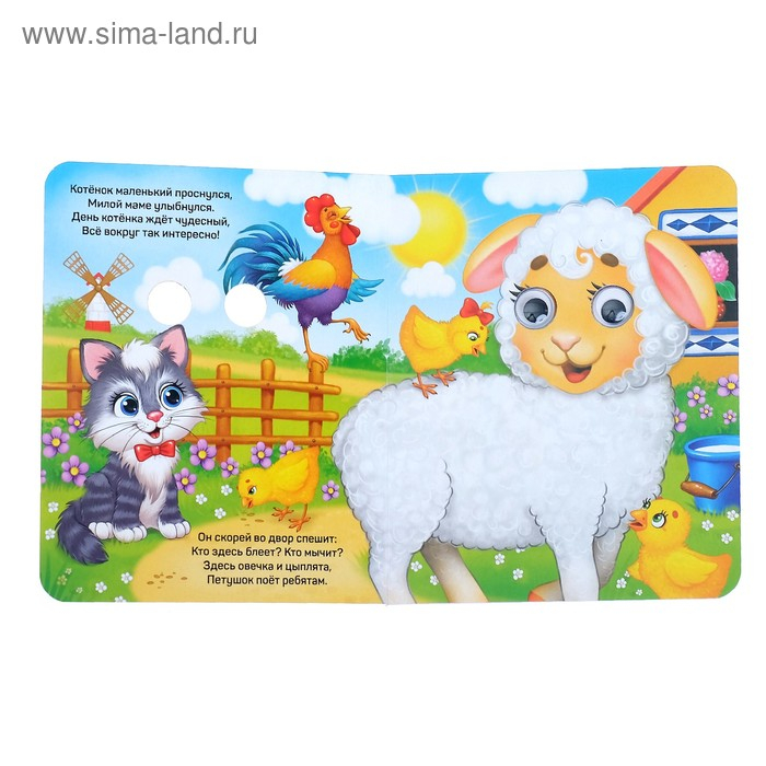 Книги с глазками картонные набор &laquo;Изучаем всё вокруг&raquo;, 4 шт. по 10 стр.