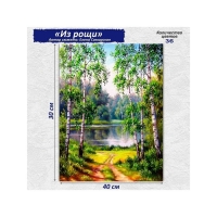 Алмазная мозаика &laquo;Из рощи&raquo;, 30 &times; 40 см, 36 цветов, без подрамника