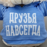 Мягкая игрушка Мишка &laquo;Друзья навсегда&raquo;, в кофте, 13 см