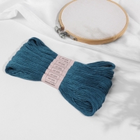 Набор ниток мулине №3842, 8 ± 1 м, 6 шт, цвет тёмно-синий Набор ниток мулине №3842, 8 ± 1 м, 6 шт, цвет тёмно-синий