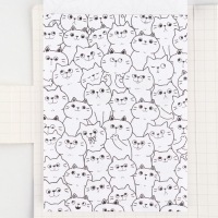 Подарочный набор в открытке: отрывной блок с заданиями и карандаши «Енот» Подарочный набор в открытке: отрывной блок с заданиями и карандаши «Енот»