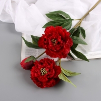 Цветы искусственные "Пион Беверли люкс" 60 см, красный