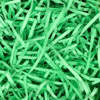 Наполнитель бумажный, зеленый, 500 г