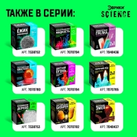 Набор для опытов &laquo;Шагающая радуга&raquo;