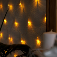 Гирлянда &laquo;Сеть&raquo; 1.6 &times; 1.6 м, IP20, прозрачная нить, 144 LED, свечение жёлтое, 8 режимов, 220 В