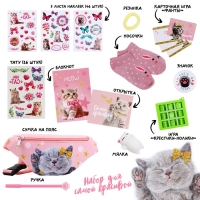 Подарочный набор для девочки с сумкой Easy box &laquo;Котята&raquo;